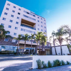 Occidental - Barceló Group 4* Querétaro